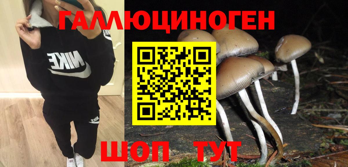 Красный Сулин  Галлюциногенные грибы ЛСД  Вход с VPN 